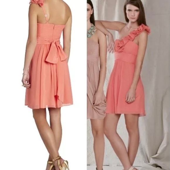 BCBGMaxAzria Dusty Rose Cocktail Dress ๐ท - Picture 7 of 7